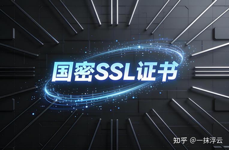 国密SSL在哪些特定场景下应用最广泛？其独特优势是什么？