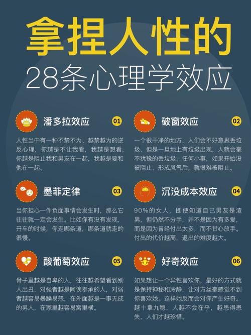 大学生为何拥有如此超凡的理解力？