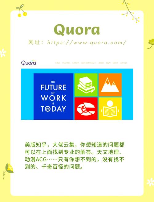 如何打造专业英语网站建设方案，构建高效英语学习平台并获取官方网址链接？