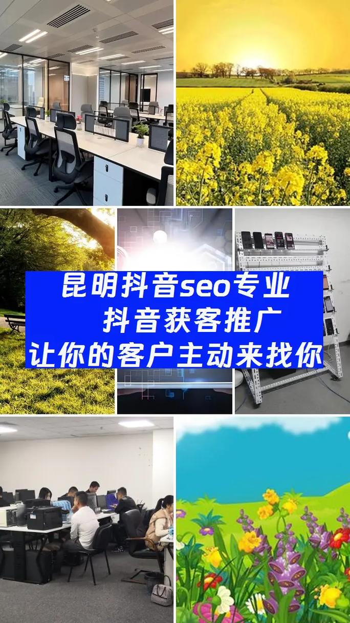 昆明SEO高效服务商哪家值得推荐？