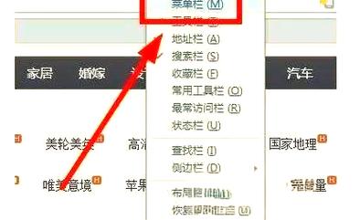 如何将上传的图片存入数据库并展示在网页上？