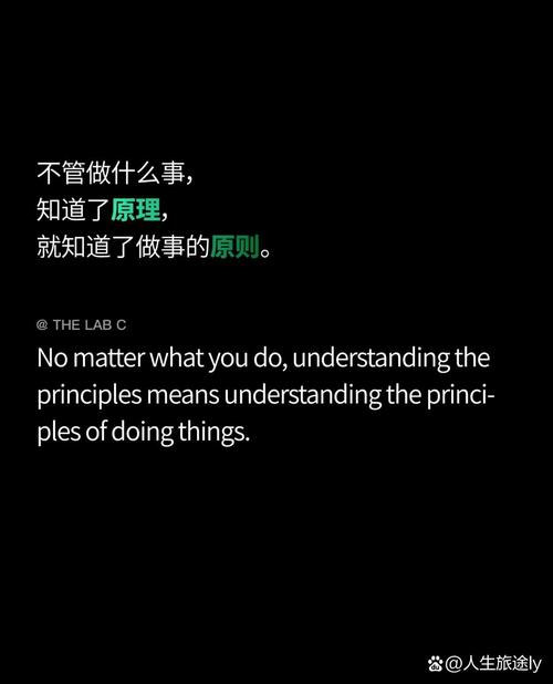 idea_life_1这个概念具体指的是什么？