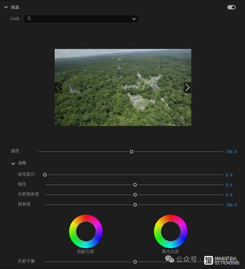 Premiere中如何为单独的Lumetri颜色添加命名功能？