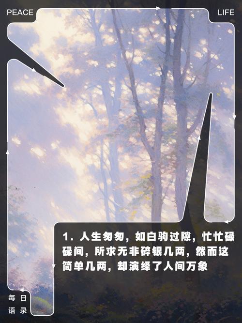 日复一日奔波劳碌，究竟为哪般碎银几两？