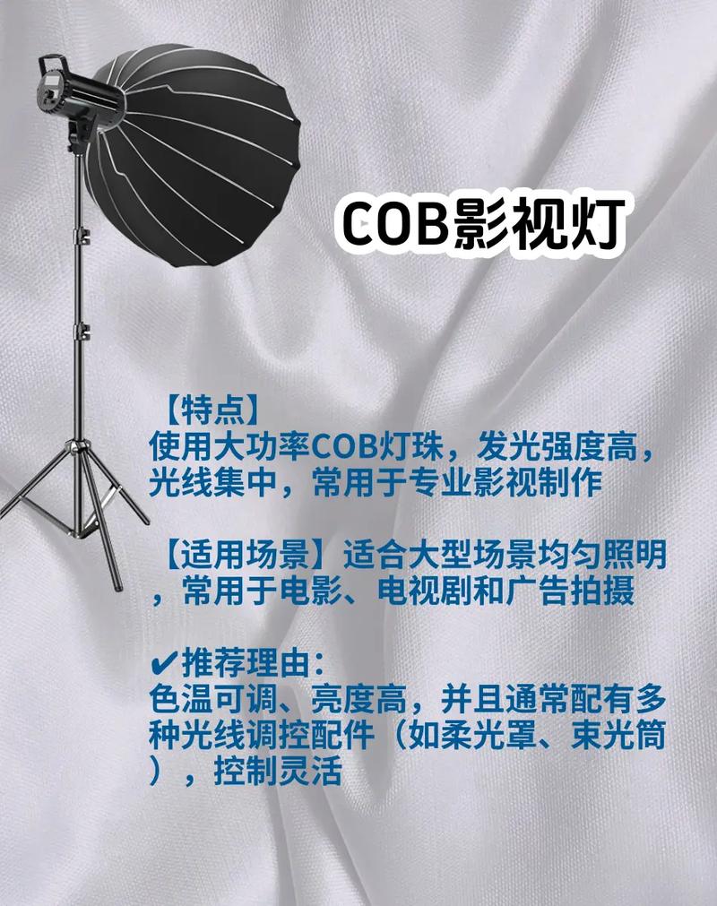 如何通过卖补光灯在灯具电商领域创业成功，抓住机遇应对挑战？