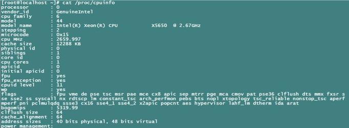 如何实现Ubuntu Swap与物理内存的完美协同，显著提高系统运行效率？