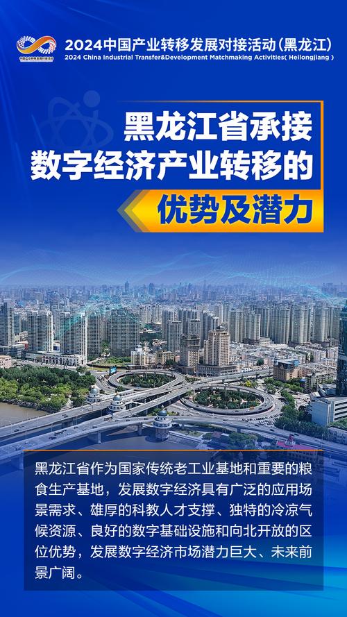 黑龙江专业网站建设企业，先锋力量引领数字变革，黑龙江企业服务网改版了吗？