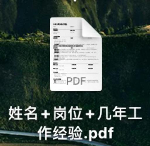 如何准确区分简历中从业经历与项目经历的描述？