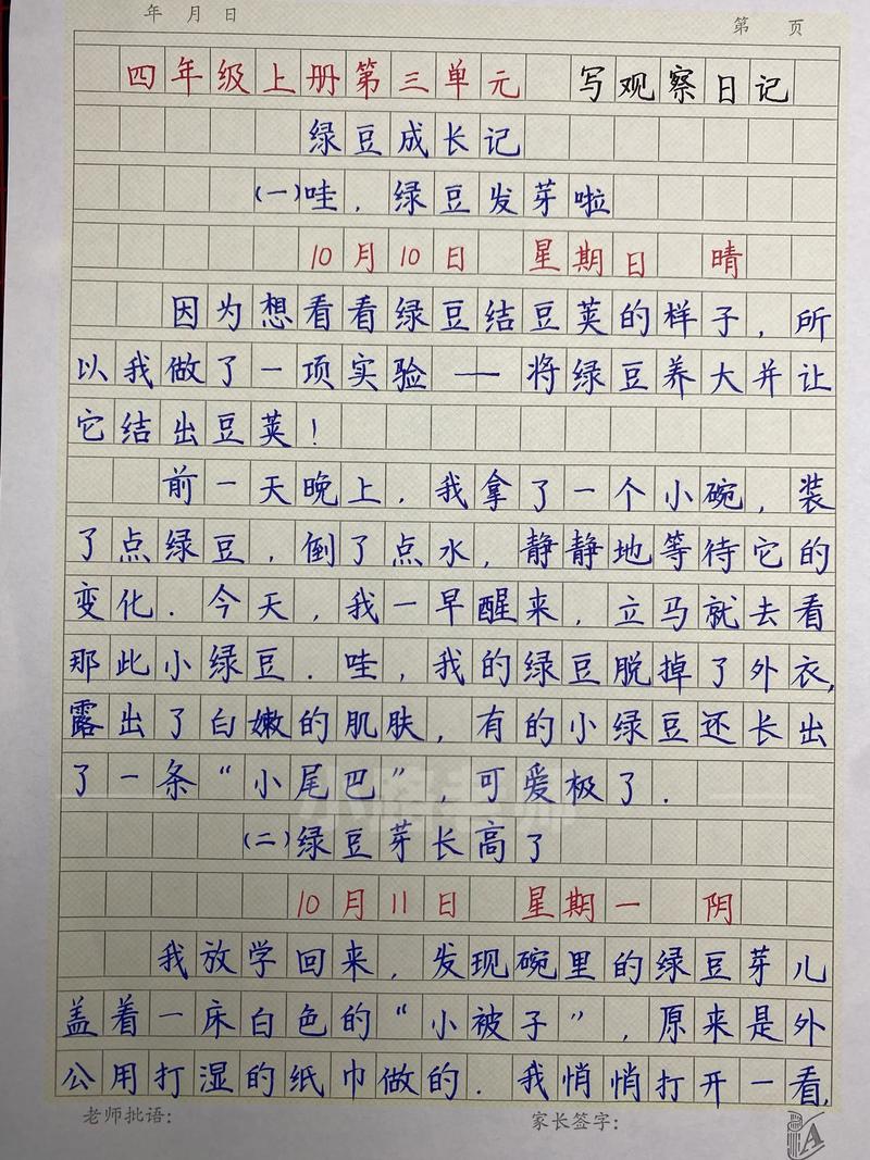 周记4的内容是什么？