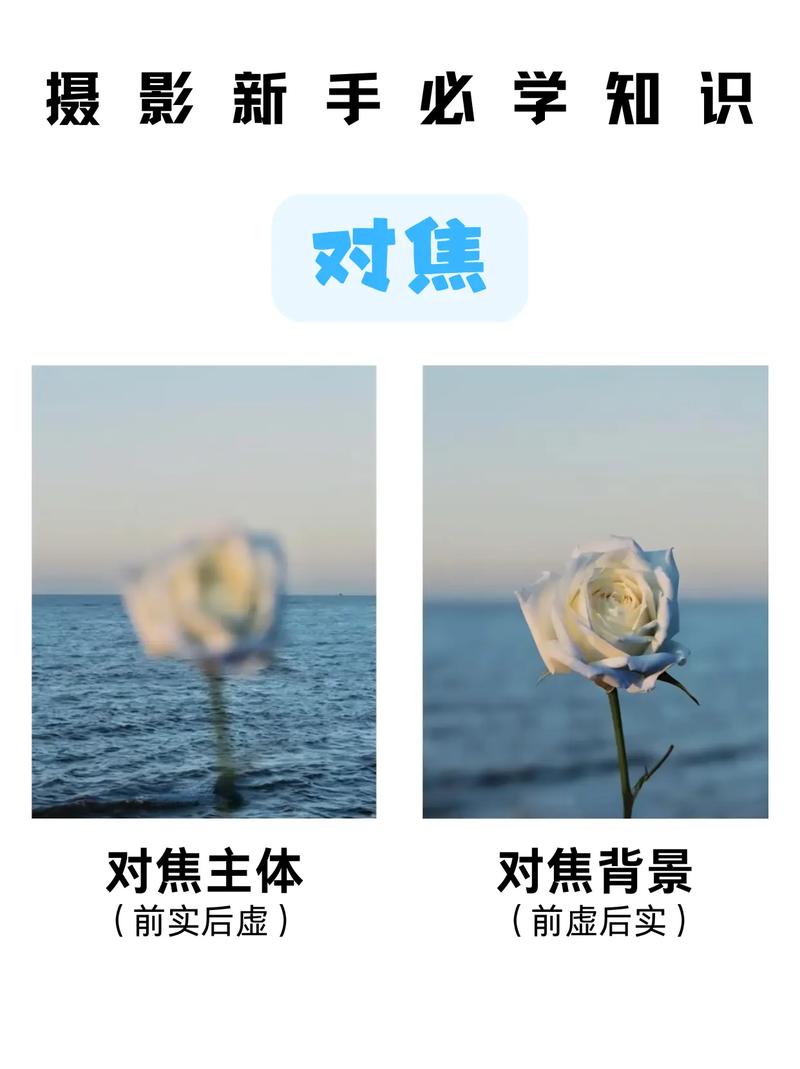 如何根据拍摄场景选择最佳相机对焦模式以获得清晰照片？