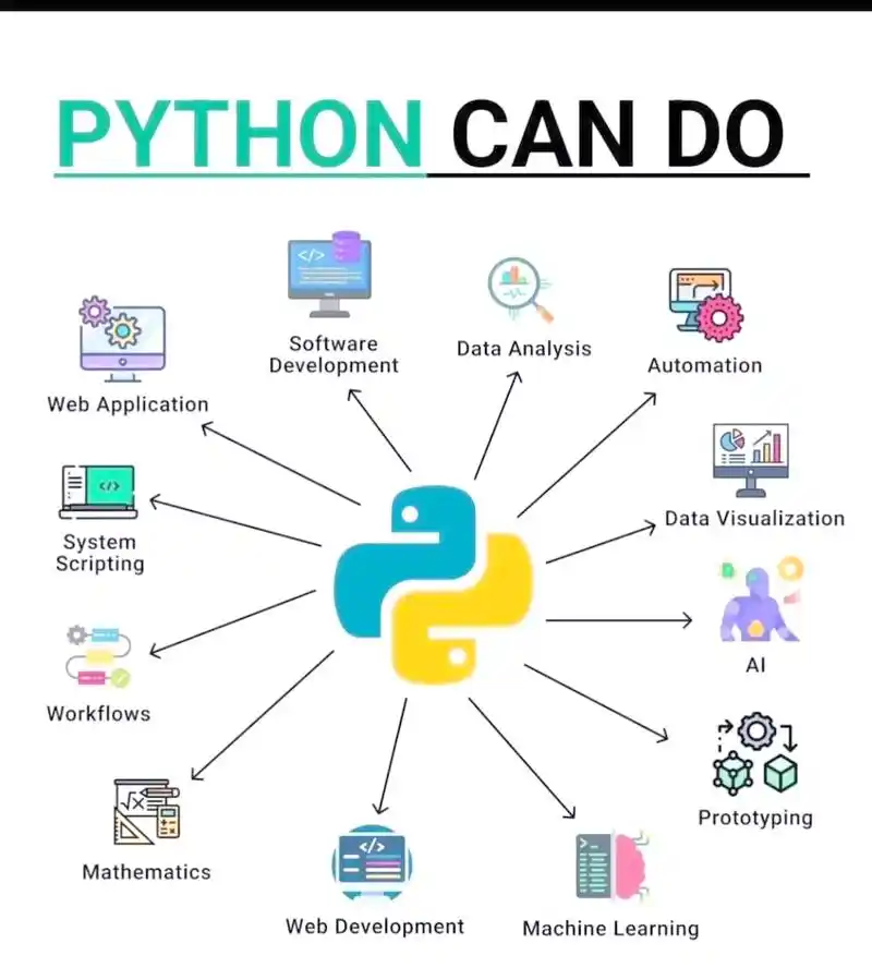 Python中的网络编程究竟涵盖了哪些复杂且深入的技术领域？