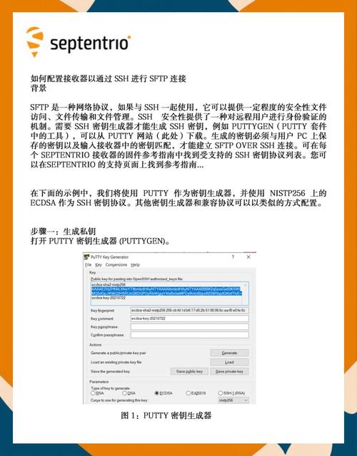 如何使用SSH.NET库通过SFTP实现.NET Core中的文件上传下载操作？