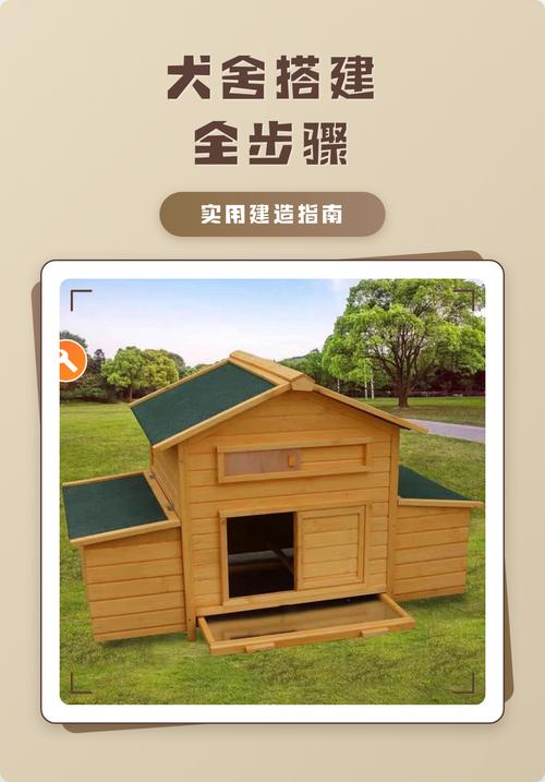 如何低成本搭建流浪狗救助独立站？新手避坑全攻略？
