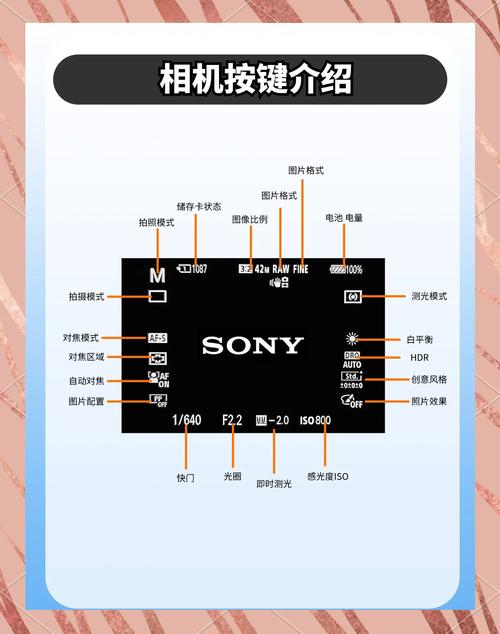 摄影必备的6类基础知识具体包括哪些？