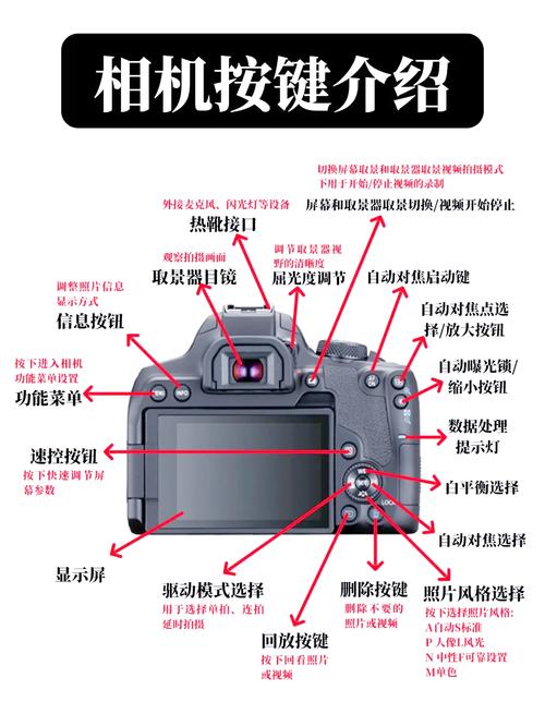 如何巧妙运用数码相机技巧实现高效拍摄？