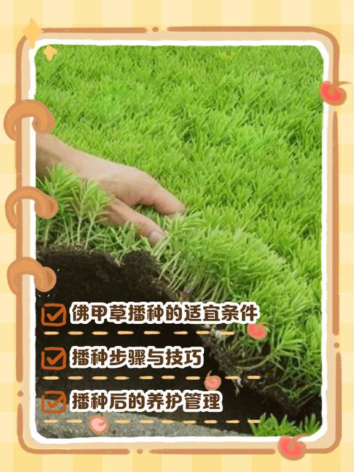 种源探宝大师如何高效寻找优质植物种源？