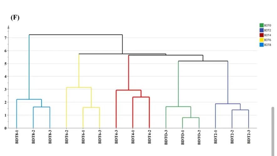 《Simple Contrastive Graph Clustering》论文中SCGC方法如何实现图对比聚类？