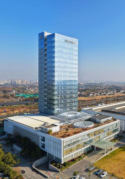 望江SEO领域，哪家企业堪称行业翘楚？