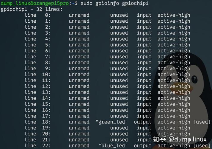 Linux下Input系统应用编程实战，如何深入掌握并应用于实际项目中？