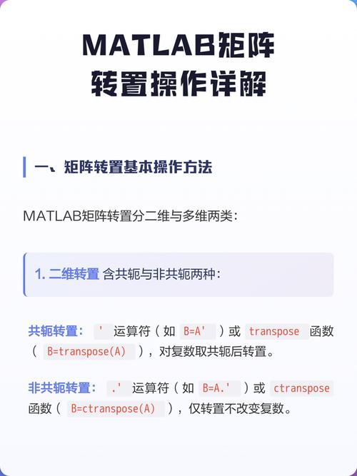 Matlab中如何区分共轭、转置和共轭转置操作？