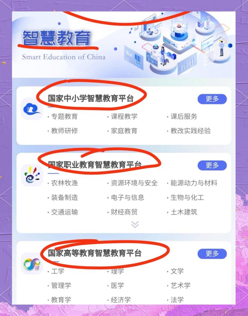 如何构建小学生专业网站，打造互动学习与成长的网络平台？