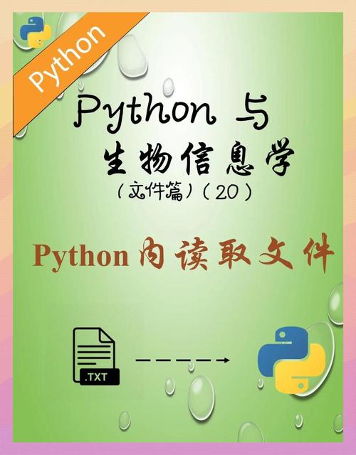 如何用Python实现示例中的txt文件读写操作？