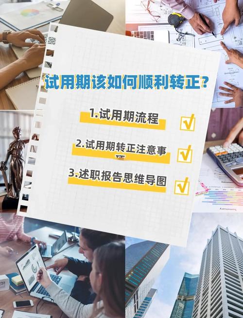 如何通过【理论积累】顺利度过试用期的关键阶段？