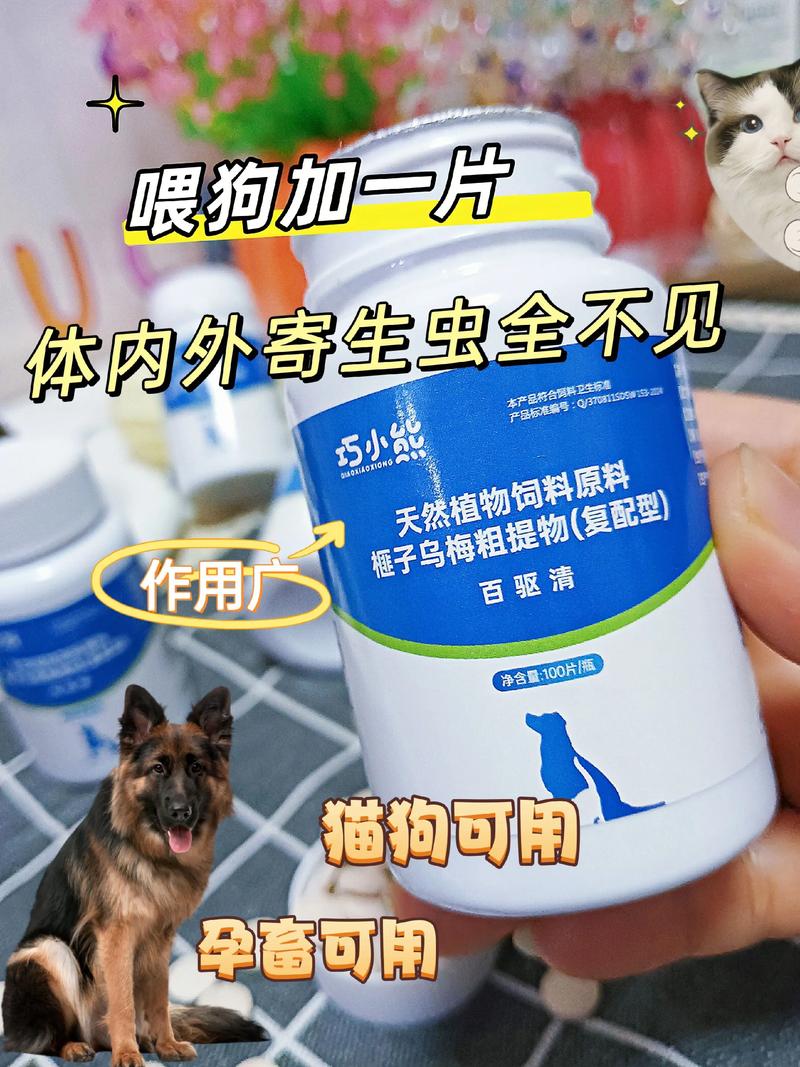 宠爱新驱虫，健康守护行，爱宠更安心，这样的宠物用品真的能让爱宠更安心吗？