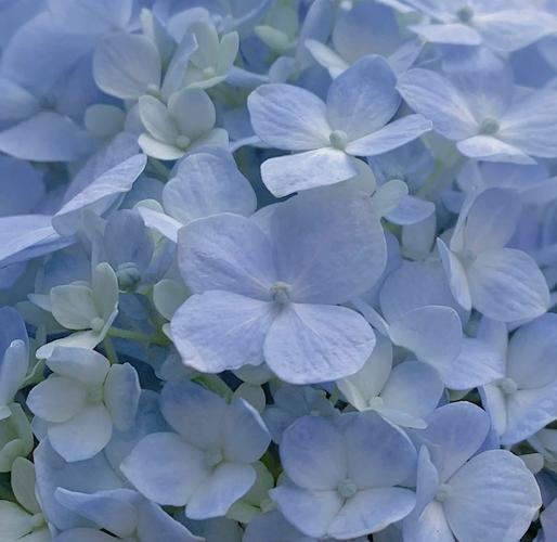 有哪些VSCode浅色主题既美观又实用，适合长时间编码使用？