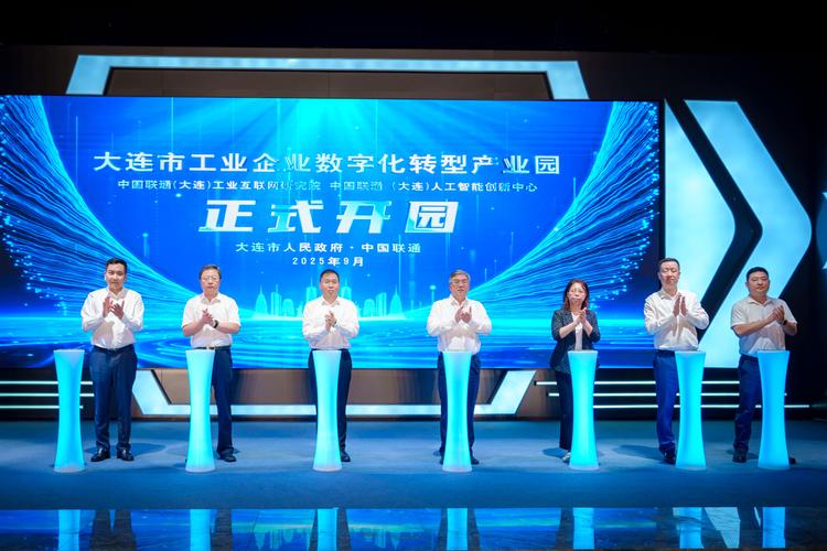 大连网站建设如何助力企业实现数字化转型，开启高效发展新航程？