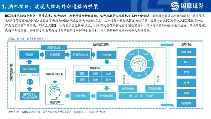 大脑数据库是用来做什么的，它具体应用于哪些领域？