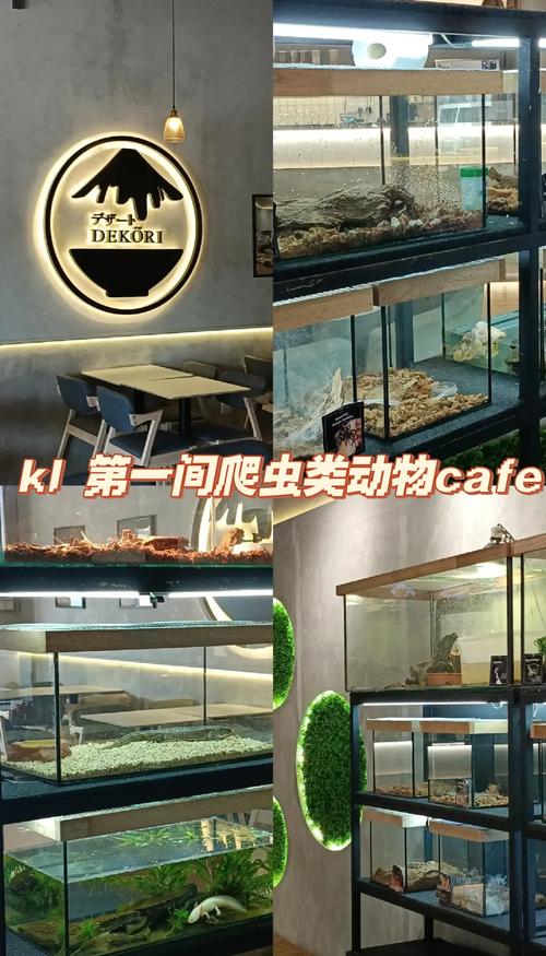 你掌握了爬虫中的恋爱心理学吗？星巴克咖啡能否温暖你的冬季——bs4爬虫解析技巧分享？