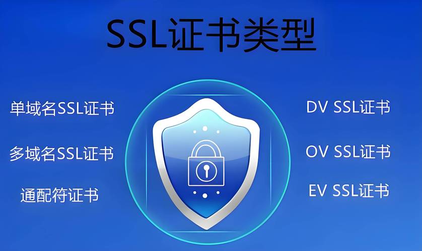 有哪些SSL工具类型让你在网络安全领域眼前一亮？