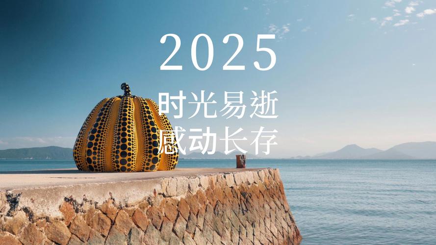 2025年，人生中那些珍贵的精彩瞬间，究竟有多少？