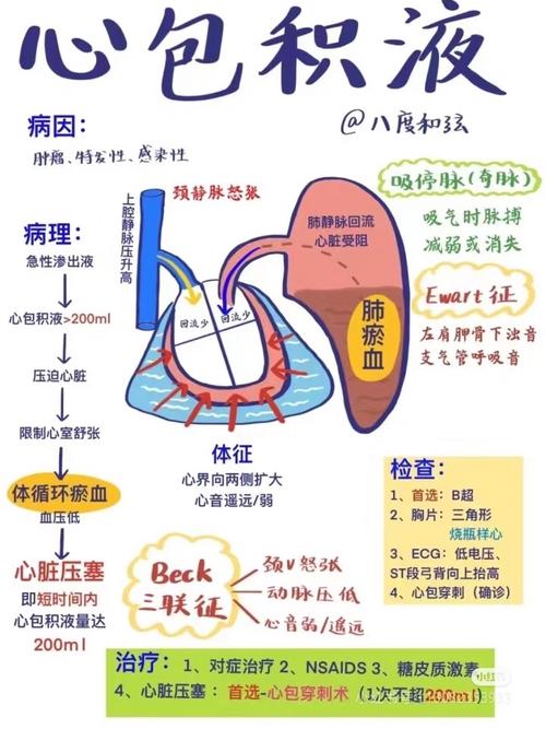 竟然有一半的人分不清for循环和foreach循环的细微差别，这是怎么回事呢？