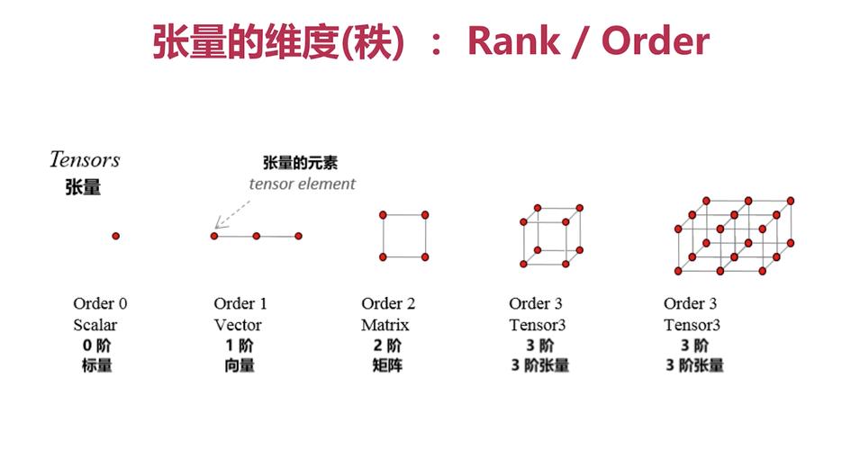 如何深入探讨TensorFlow中张量的提取与赋值技巧？