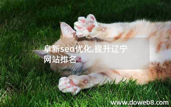 阜新SEO优化公司口碑排名前十的是哪家？