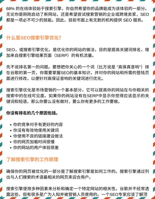 通过每天实践学习SEO，我能迅速成为SEO领域的专家吗？