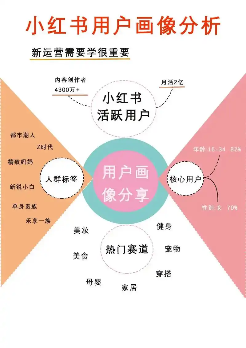 如何精准描绘用户画像，掌握爆款秘籍？