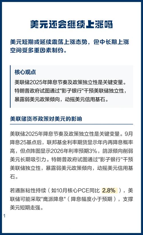 2026年，独立站是否只能收美金？真相与选择全解析？