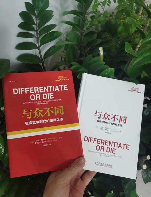 如何制定SEO策略，在竞争激烈的市场中脱颖而出？