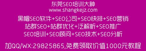 沙井SEO专家，哪家服务蕞优质，您推荐哪家呢？