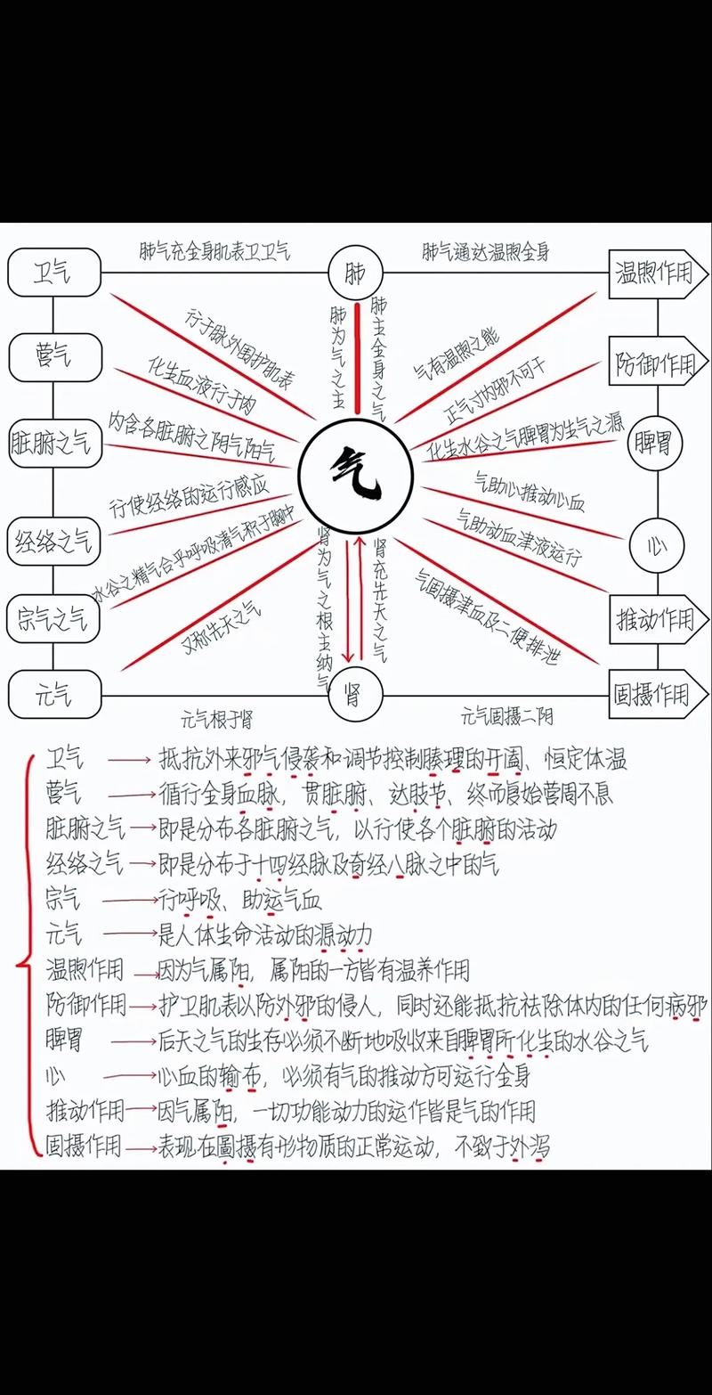炼气期变量生命周期及作用域如何界定？