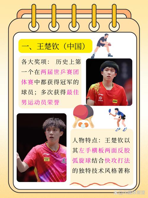 国乒相较于其他运动项目，究竟有哪些与众不同的独特魅力？