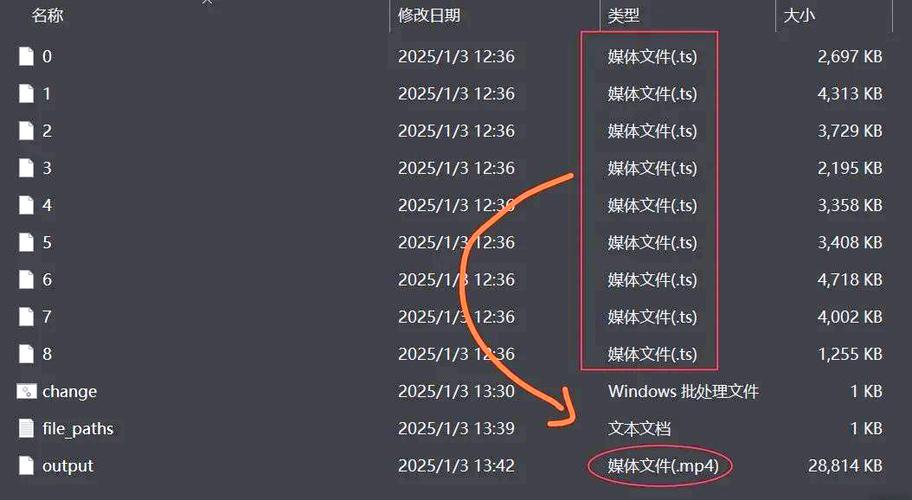 如何将视频转换成TS格式文件？