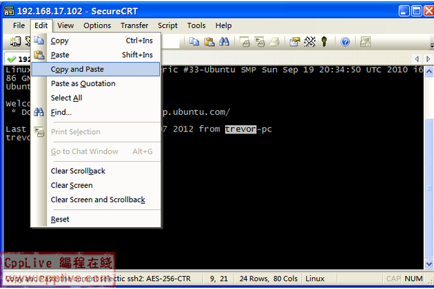 SecureCRT在Linux系统下稳定吗？能否有效解决频繁断开连接的问题？