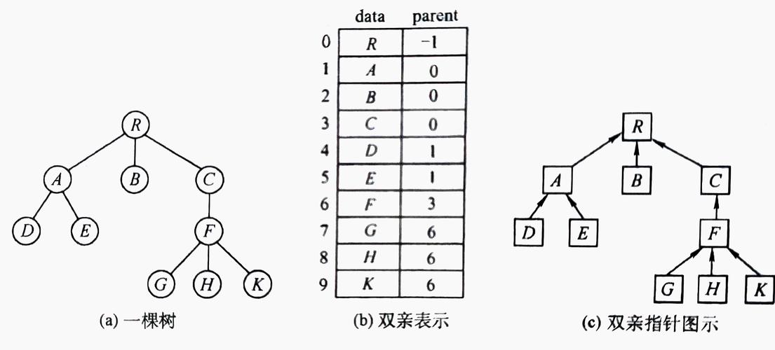 并查集在处理哪些数据结构问题时特别有效？