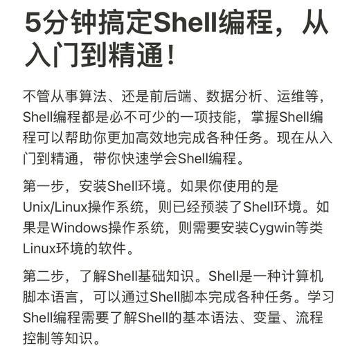 Shell编程基础有哪些内容需要掌握？