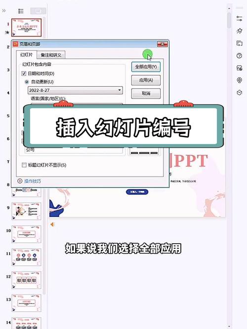 如何设置PPT中的页面编号？