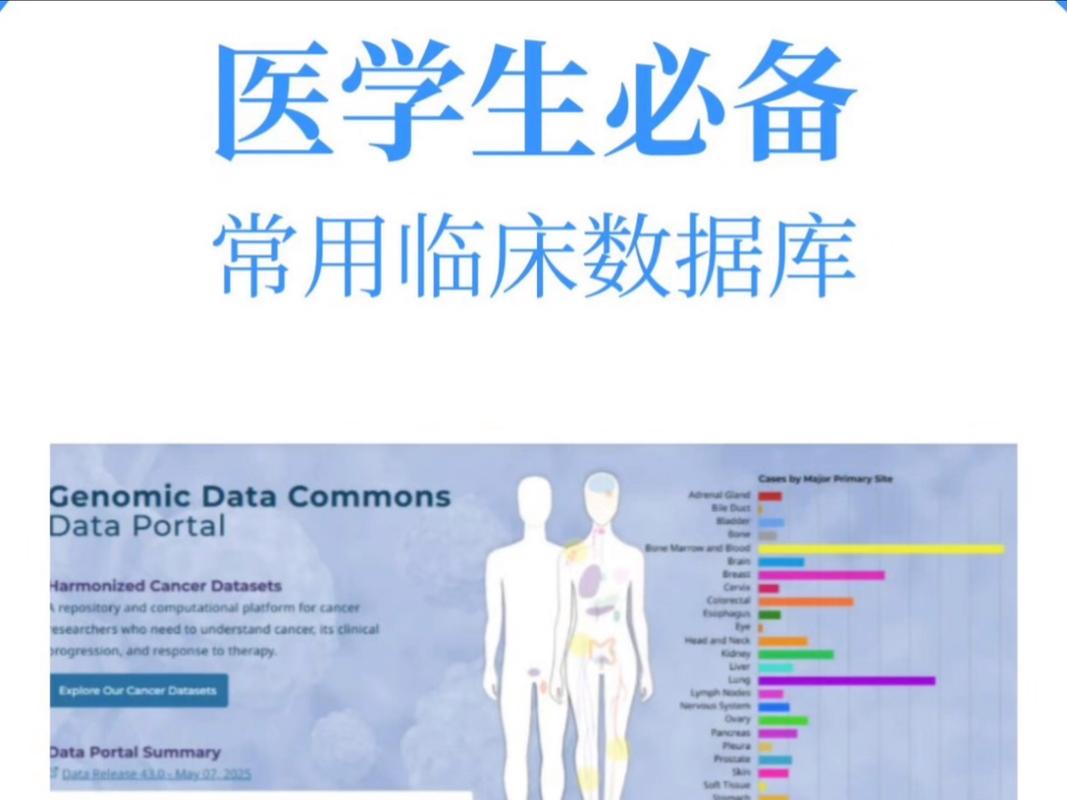 医学生为何必须熟练运用医学数据库进行学术研究和临床实践？